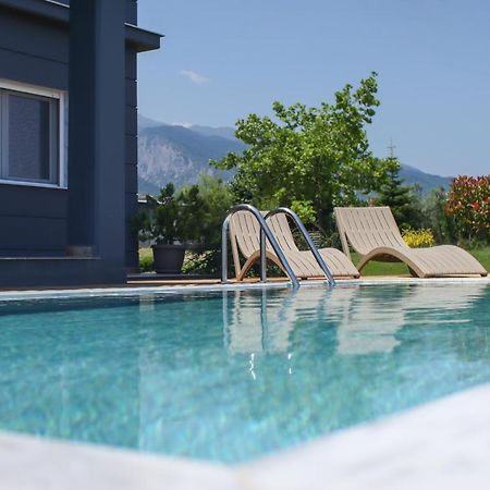 Zeusplace Pool Villa Olympus Riviera Litochoro Zewnętrze zdjęcie
